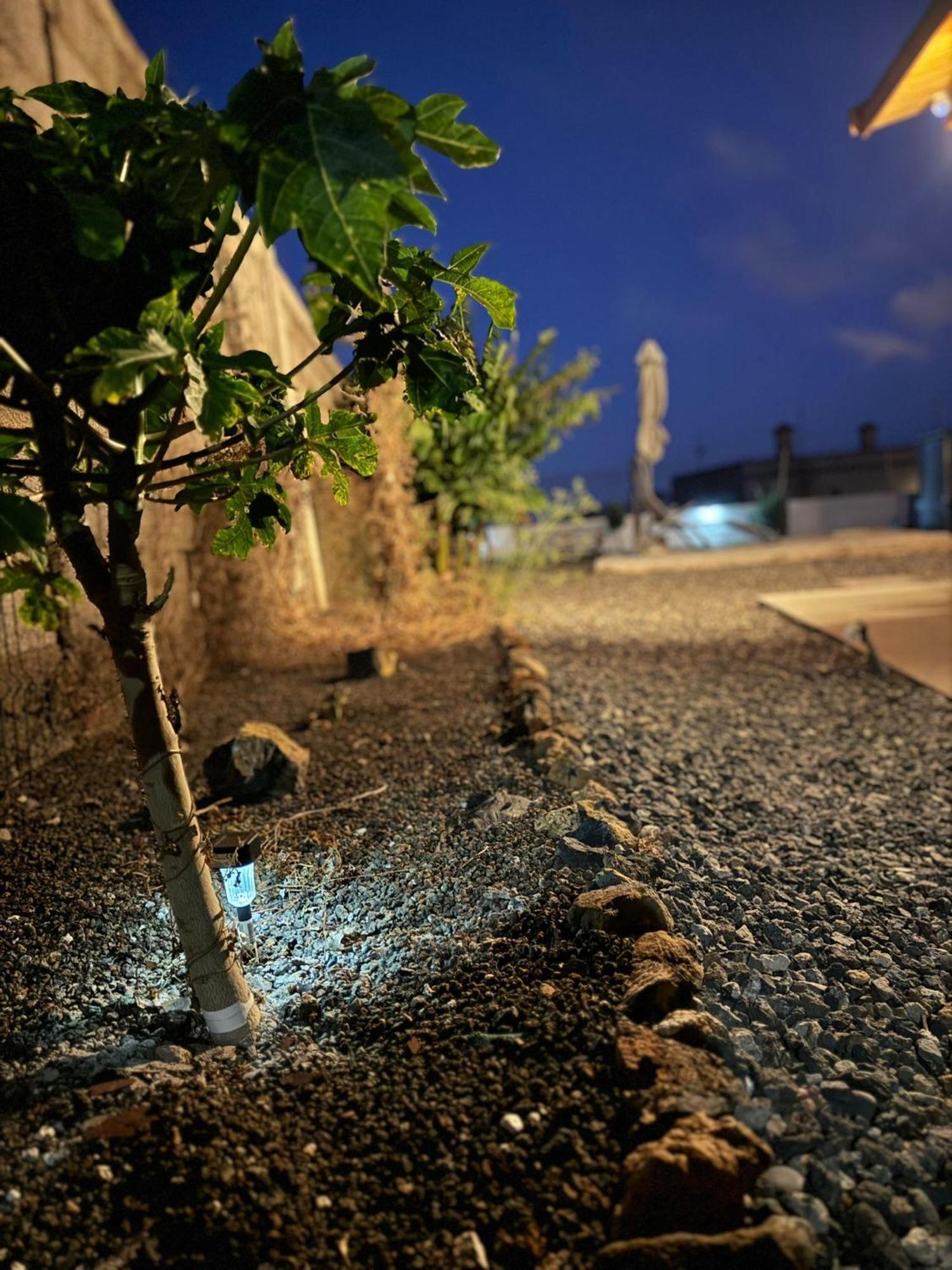 Finca El Atardecer ซานตาครูซ เด เตเนริเฟ ภายนอก รูปภาพ